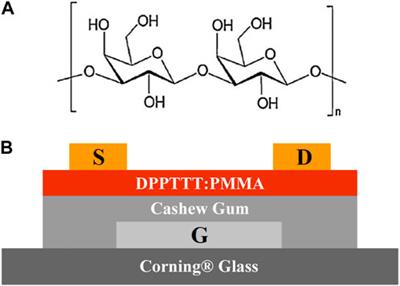 Towards sustainable, solution-processed organic field-effect transistors using cashew gum as the gate dielectric